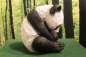 Preview: Pandabär sitzend *AUSVERKAUFT*